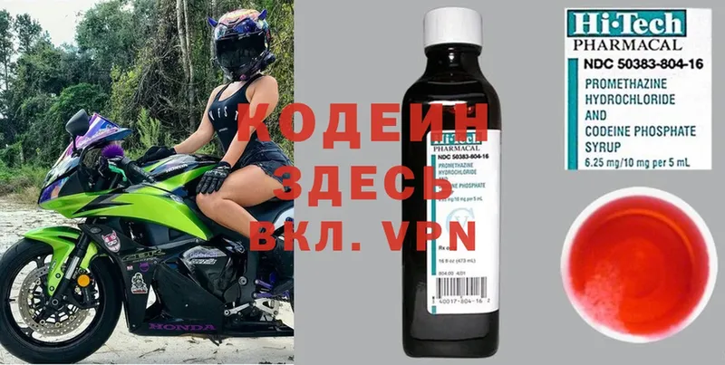 купить   Гусев  Кодеин Purple Drank 