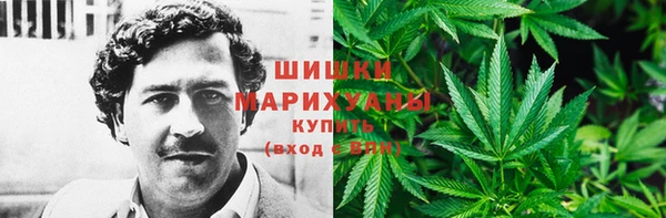ECSTASY Богородск