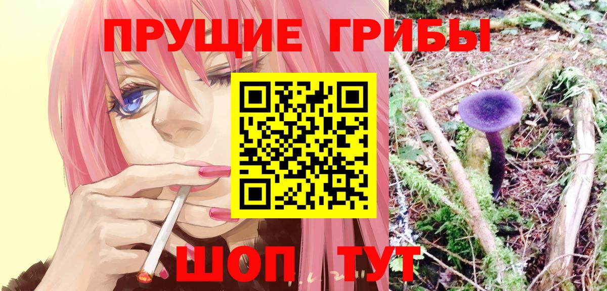 ЛЁД  Гусев  COCAIN  Вход с VPN  МЕФ  Плюхи  А ПВП  Бошки Шишки 